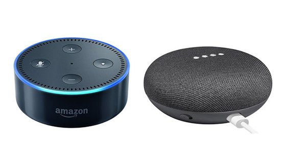 difference between google home mini and alexa