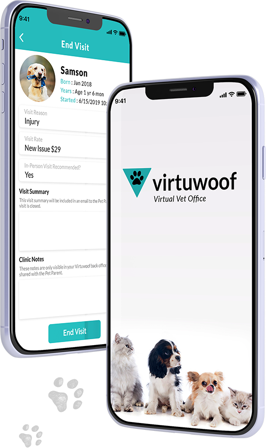 Best Veterinary Telemedicine App for Vet & Pet Owners